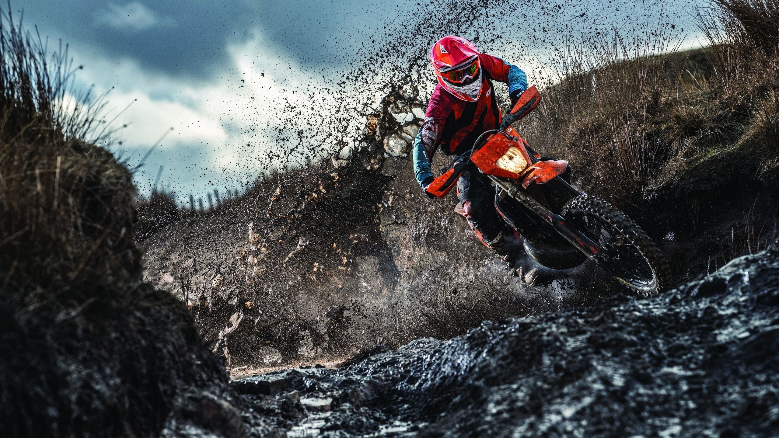 布伦森之夜，当草根英雄在总决赛舞台加冕